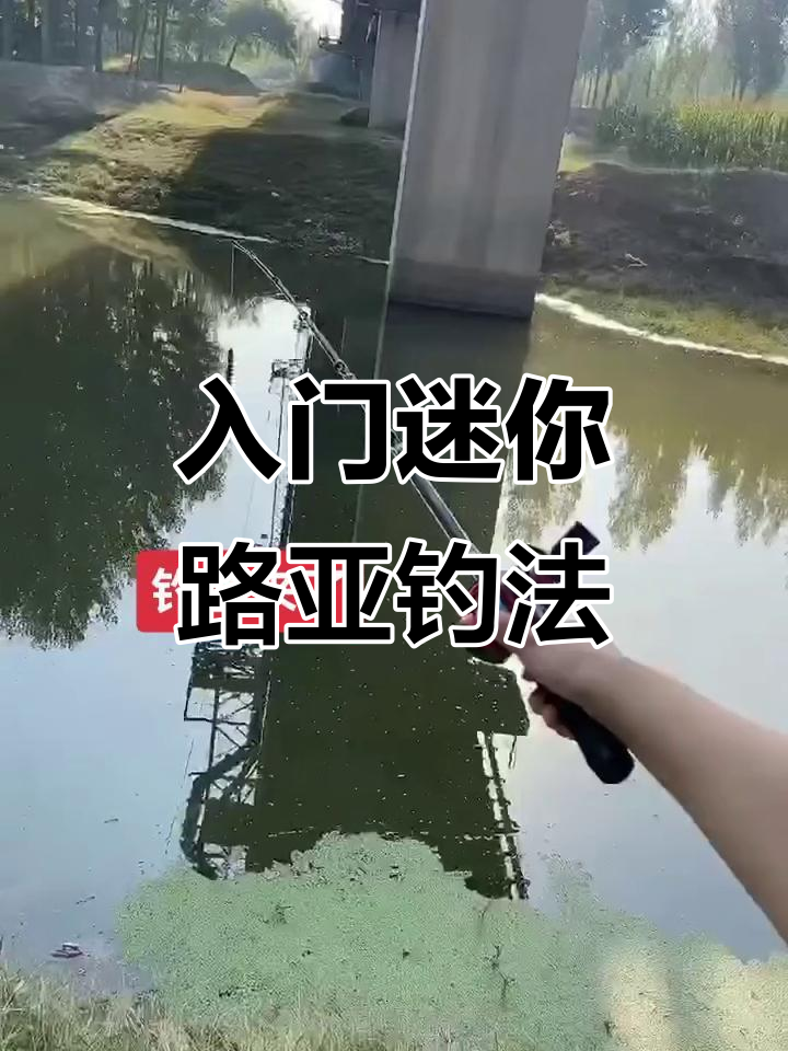 迷你伸缩路亚竿使用指南，轻松钓鱼不再难