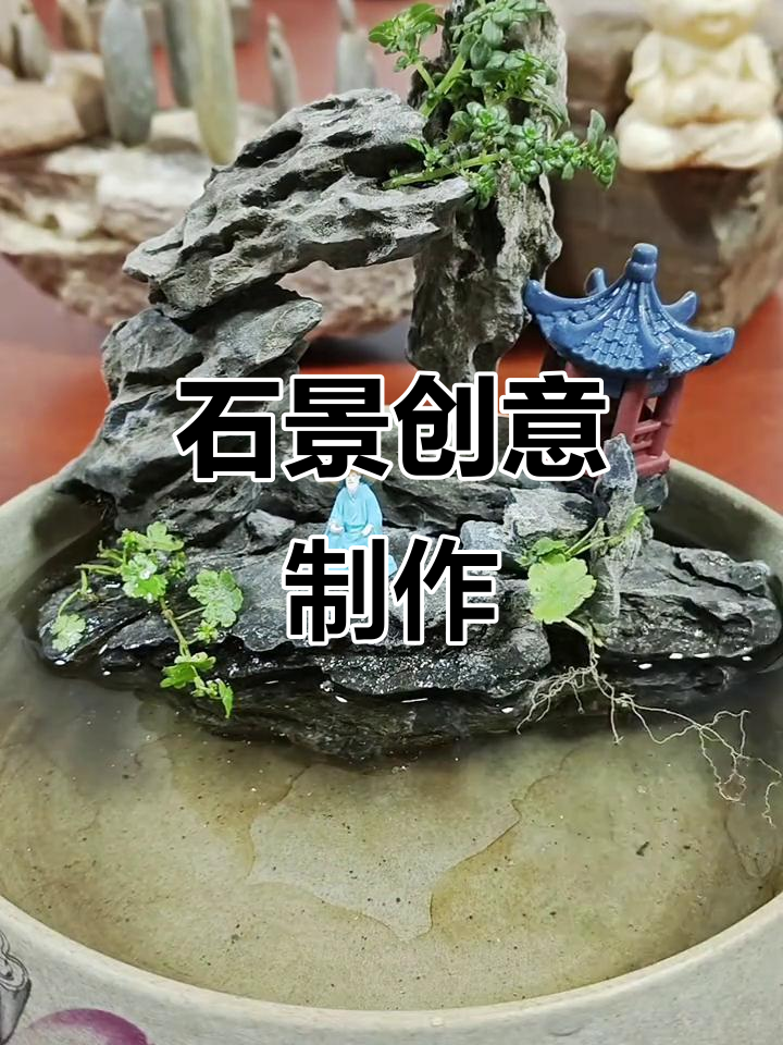 10分钟打造独特石头造景,青龙石让鱼缸瞬间生机勃勃