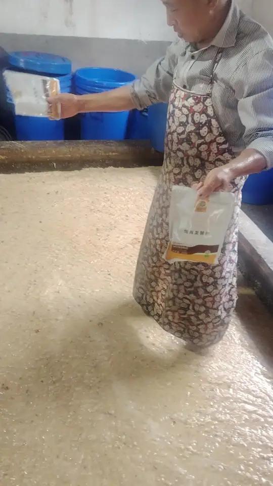 发酵粥料喂猪有酒香味道,猪更喜欢吃,发酵后更利于饲喂和消化吸收,还可增加猪肠道益生菌群,调