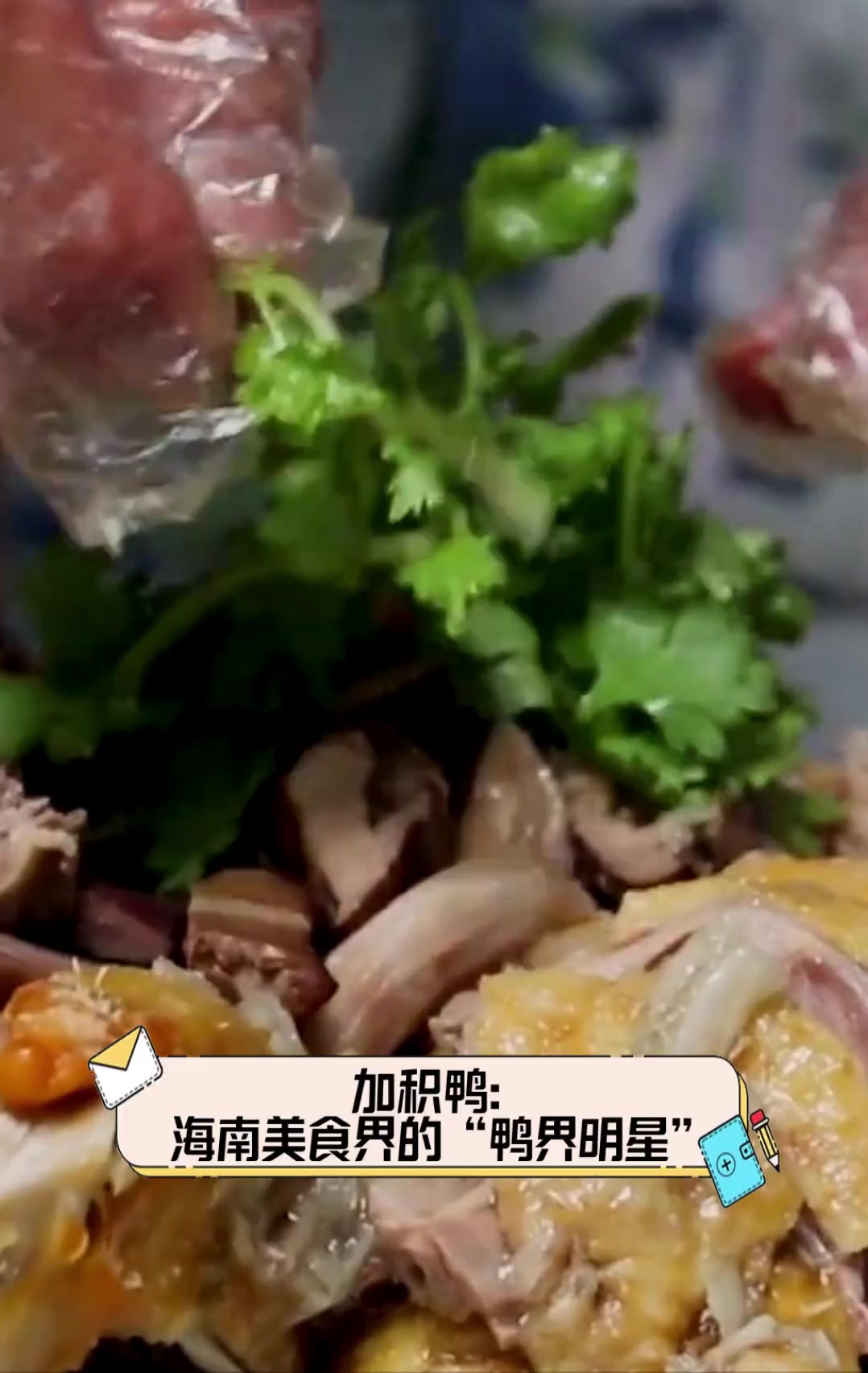 加积鸭:海南美食界的“鸭界明星”
