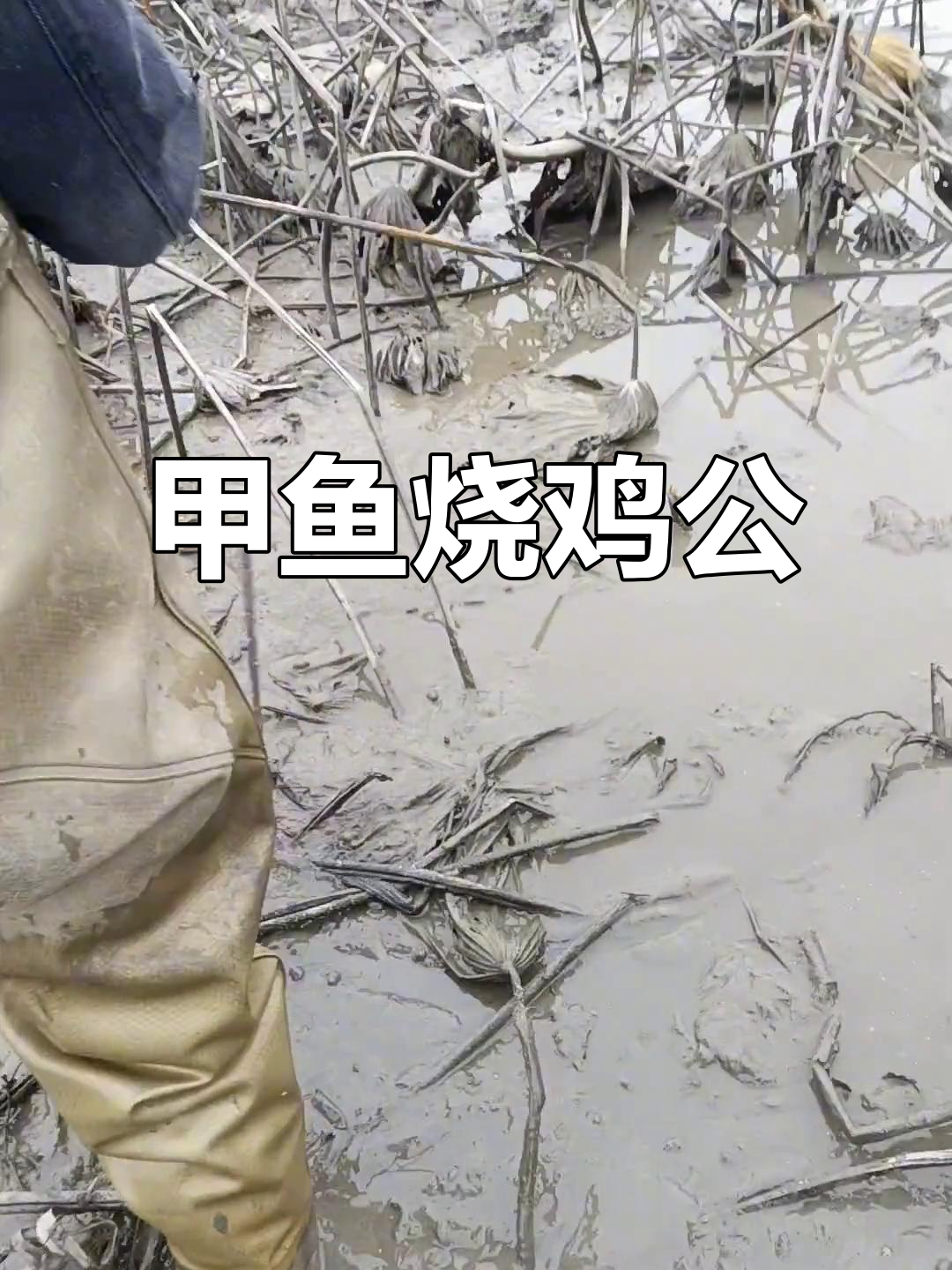 甲鱼烧鸡公,霸王别姬的味道你尝过吗?