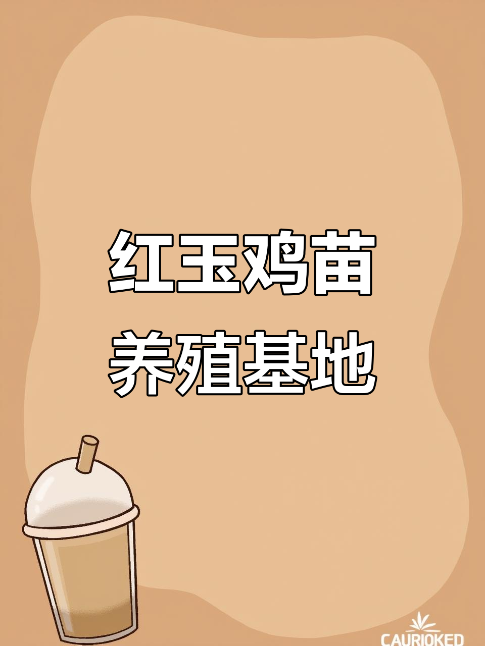 山东红玉鸡苗:优质养殖选择,孵化场直供