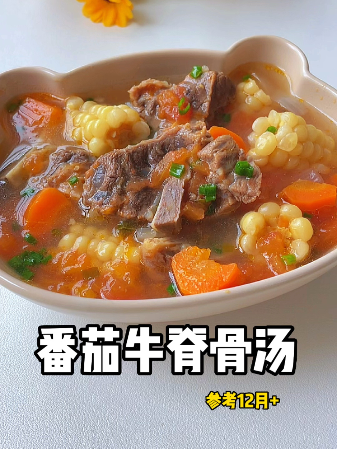 热乎乎的番茄牛脊骨汤
