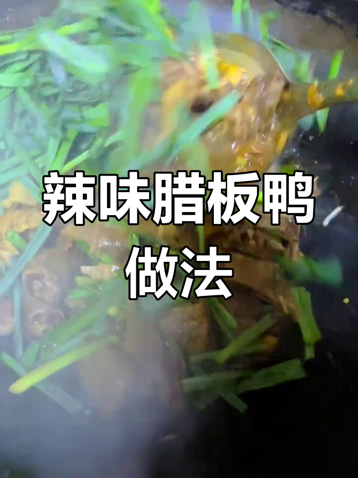 湖南腊鸭炒出独特风味,辣椒、蒜叶一放更诱人