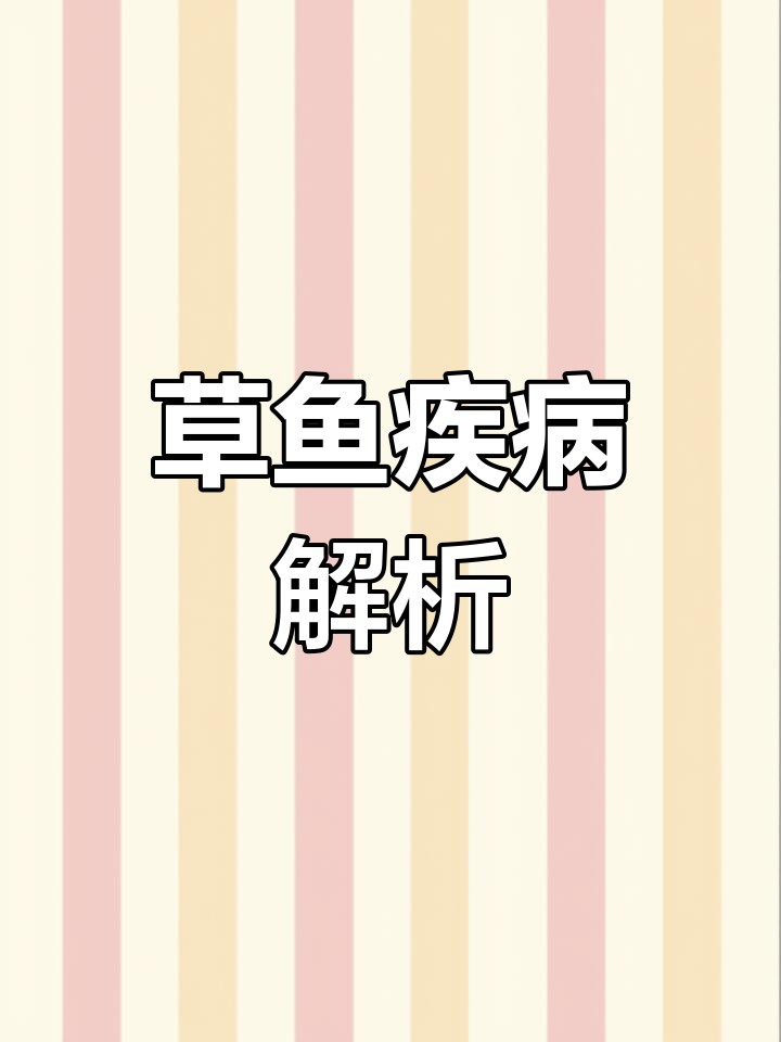 如何识别与治疗草鱼常见病症?