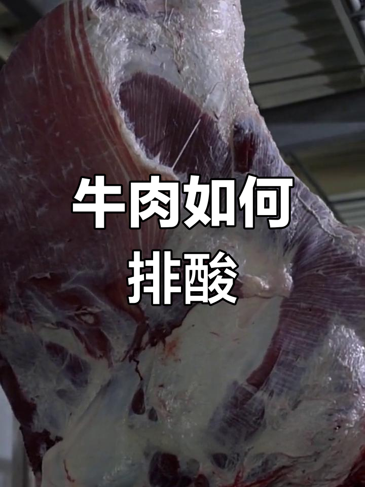 牛肉的呼吸与排酸过程揭秘