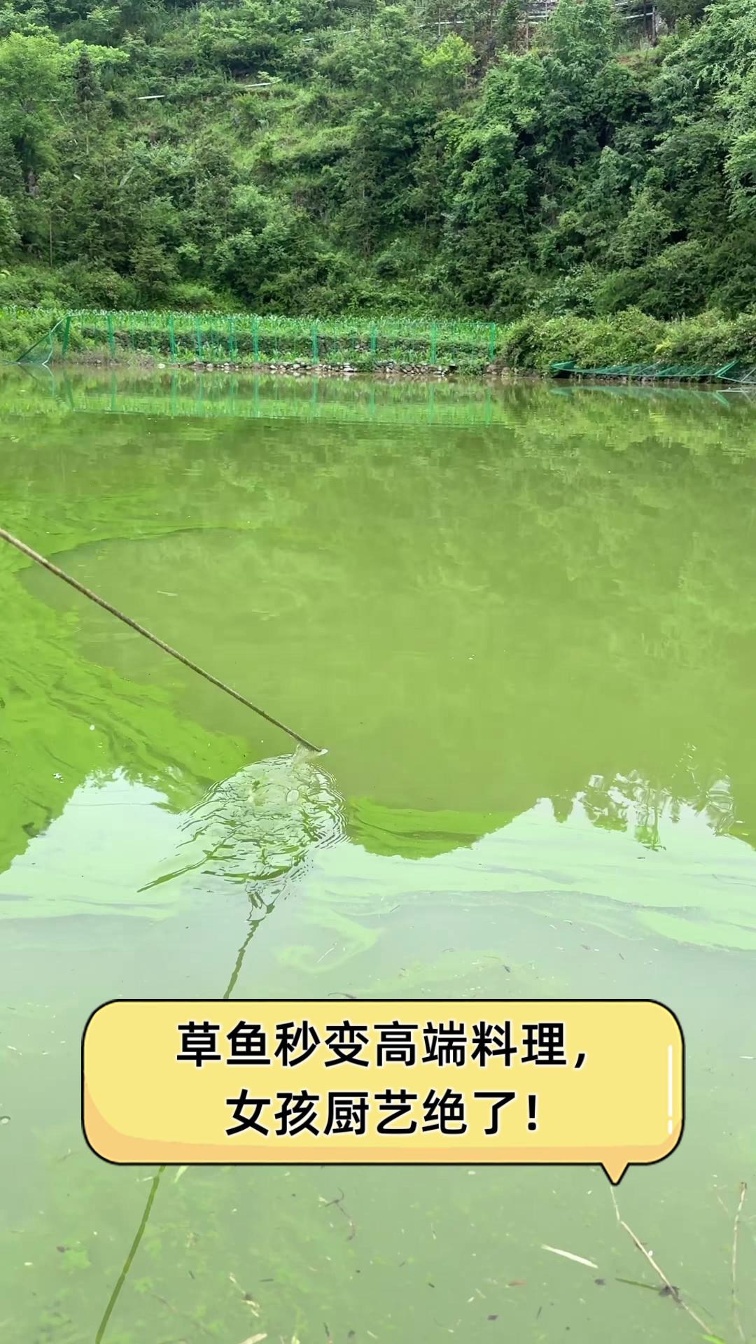 草鱼秒变高端料理,女孩厨艺绝了!