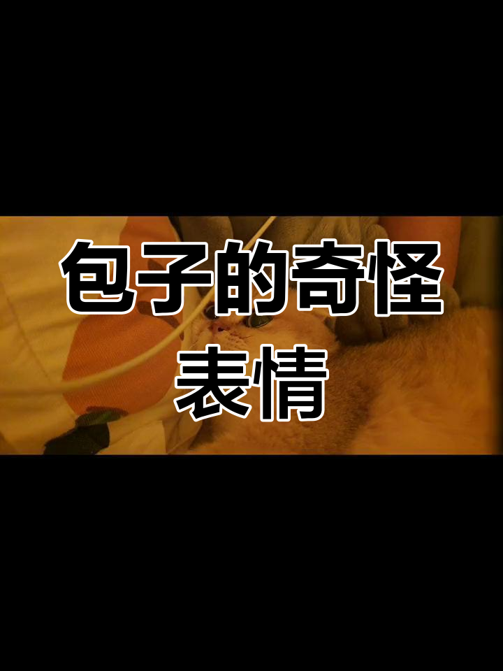 包子微表情大揭秘