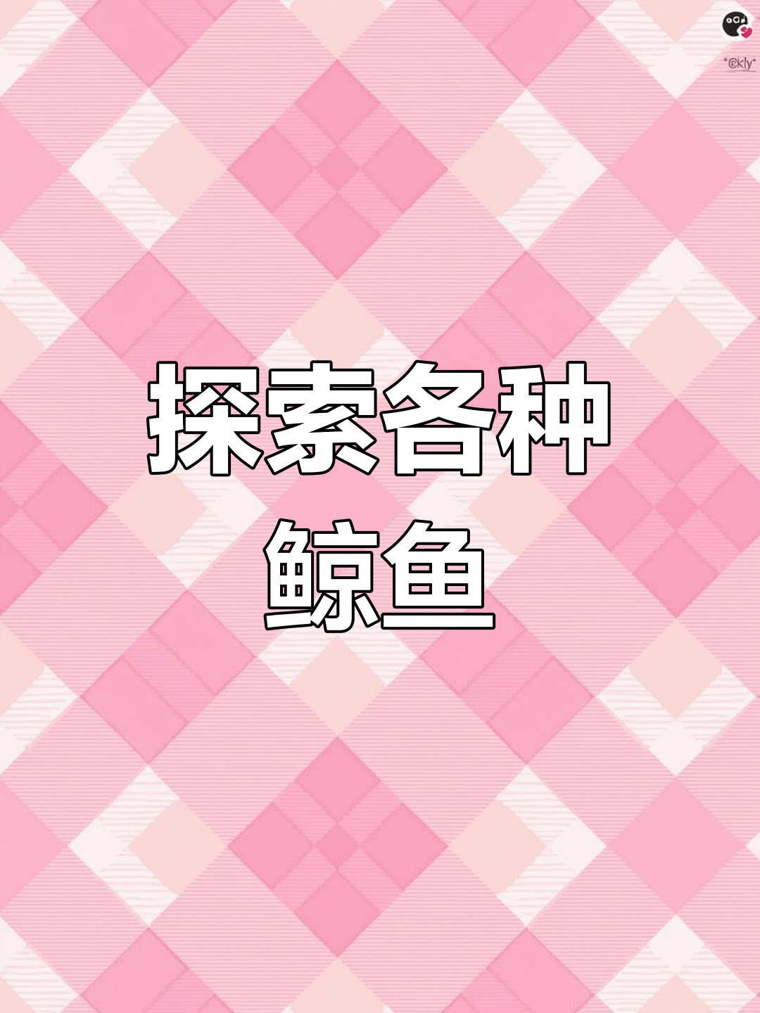 鲸鱼大揭秘：不同种类的鲸你了解吗？