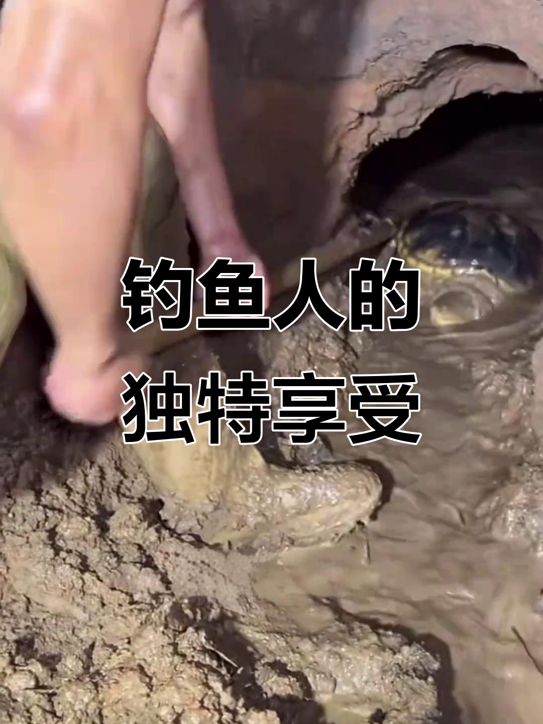 钓鱼人才能懂的乐趣,探秘广东名菜土茯苓煲龟汤