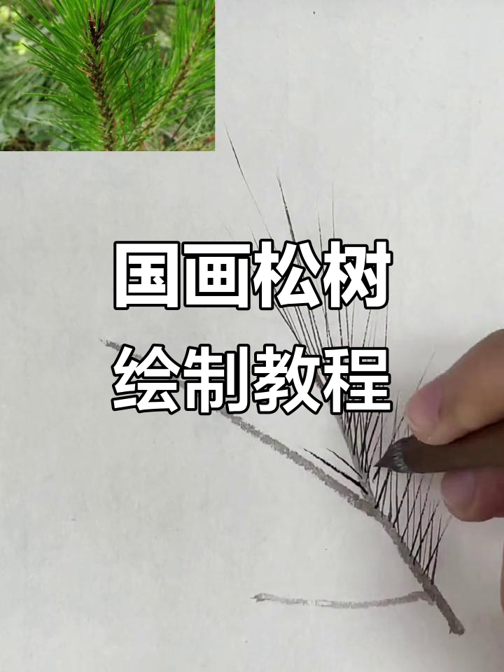 松树画法全解析:从枝干到针叶,轻松掌握国画技巧