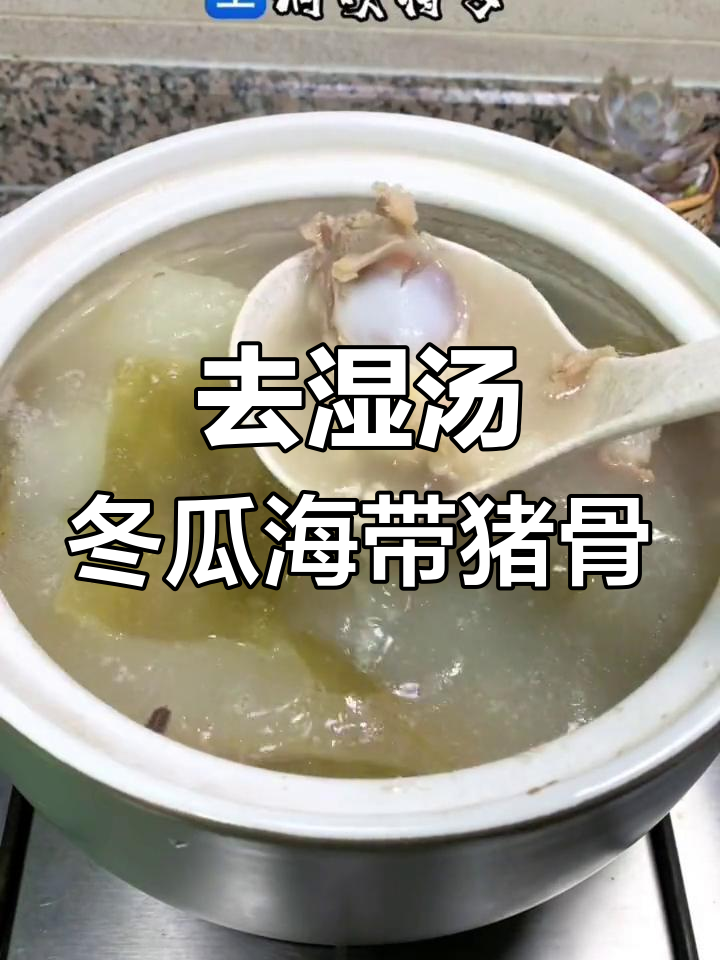夏日去湿汤,冬瓜海带猪骨汤来啦!