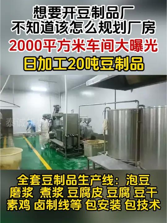 想要开豆制品厂不知道怎么规划厂房?2000平方米车间大曝光!日加工20吨豆制品 豆制品设备
