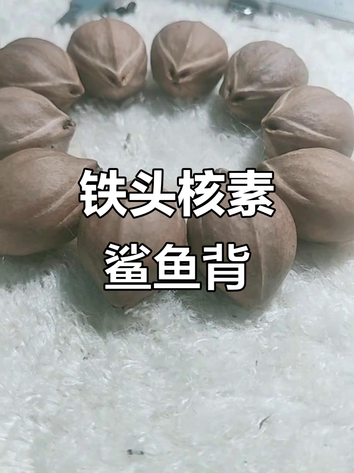 铁头核素串鲨鱼背手串：人生的平凡与爱情