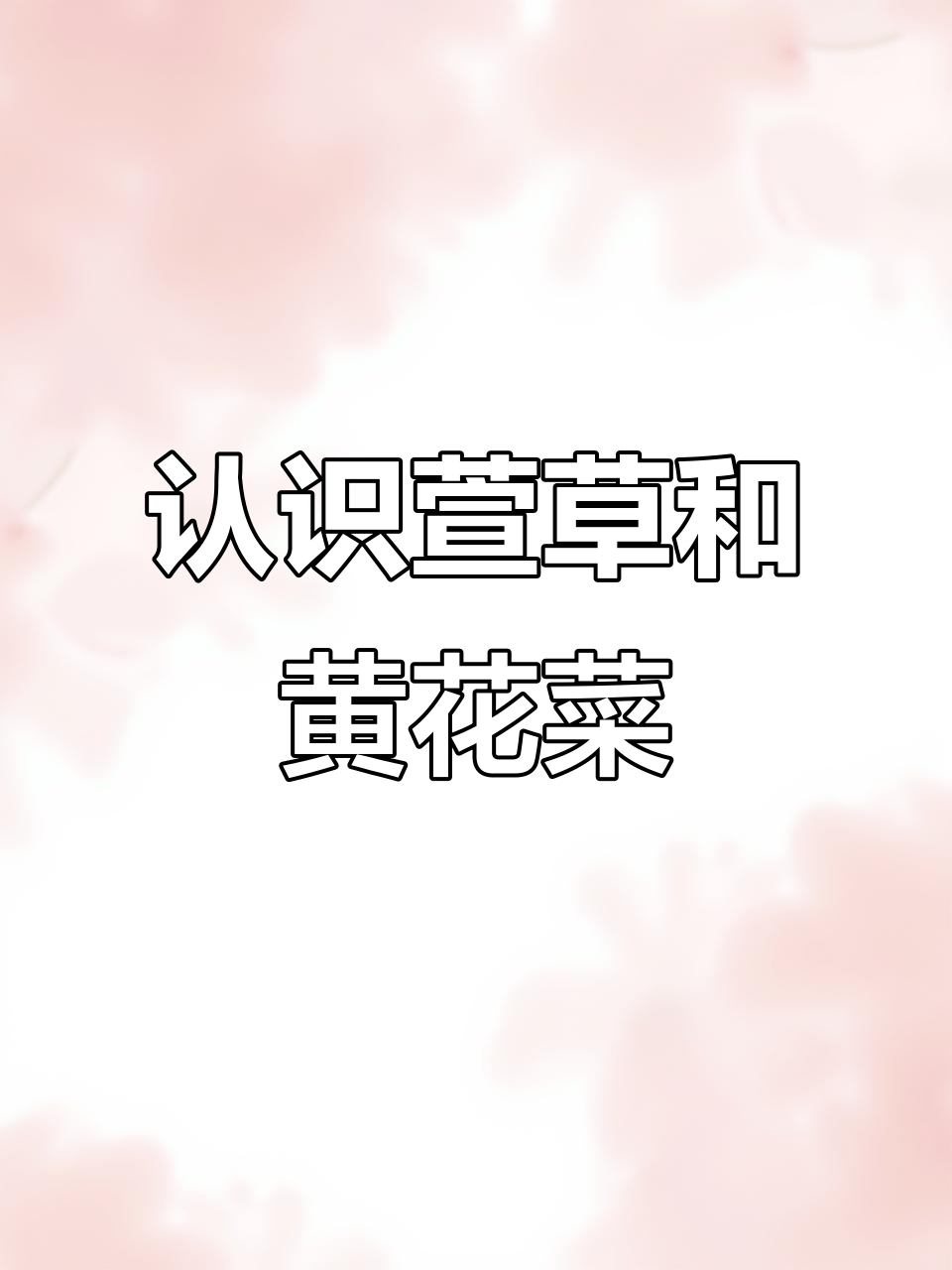 萱草与黄花菜的区别,你了解吗?