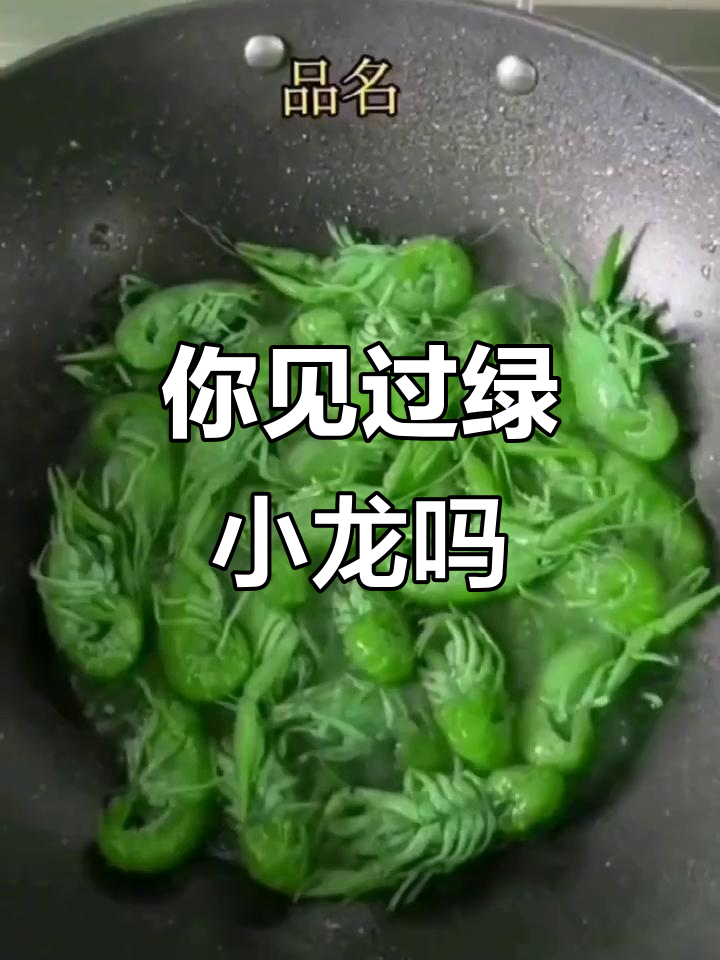 广东小龙虾新品种,绿色的小龙虾你尝过吗?