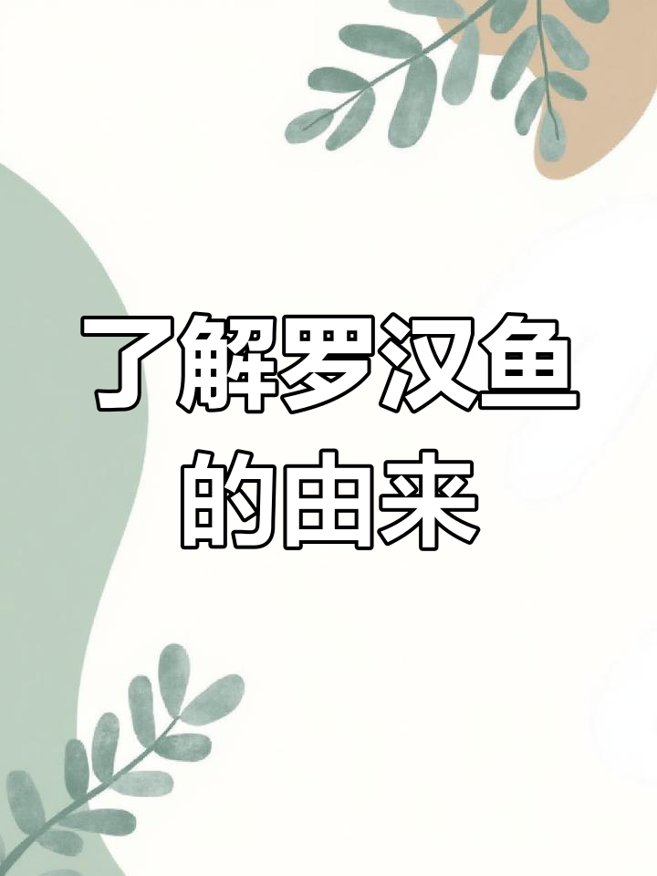罗汉鱼:头部隆起如罗汉,大型观赏鱼的独特魅力