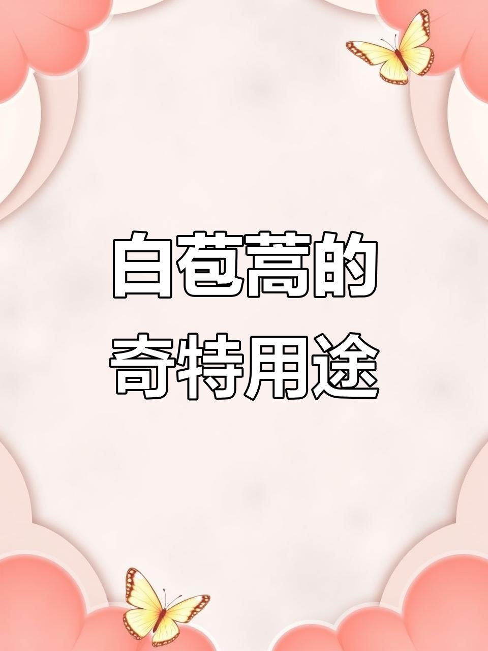 广东白苞蒿：鸭脚菜的独特美味与药用价值