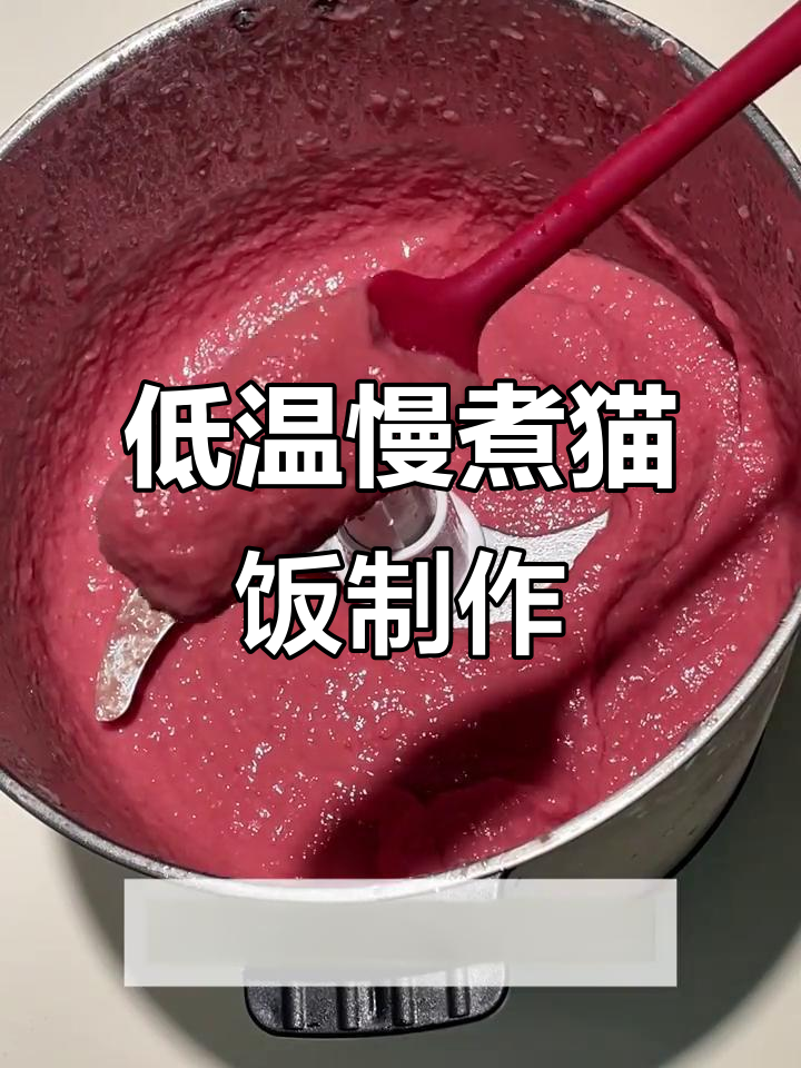 自制香软牛肉罐头，猫咪吃得开心又健康