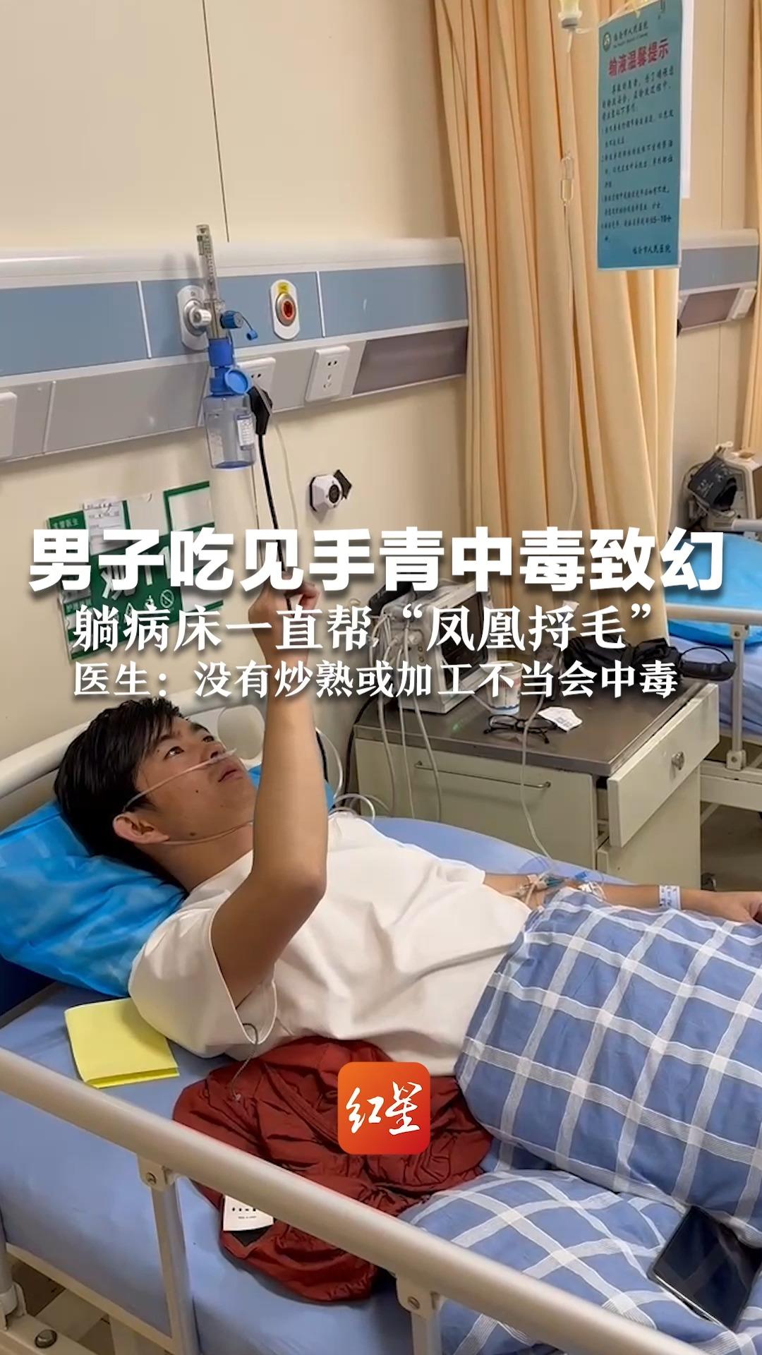 男子吃见手青中毒致幻 称看见水母、八爪鱼 躺病床一直帮“凤凰捋毛”医生:没炒熟或加工不当会