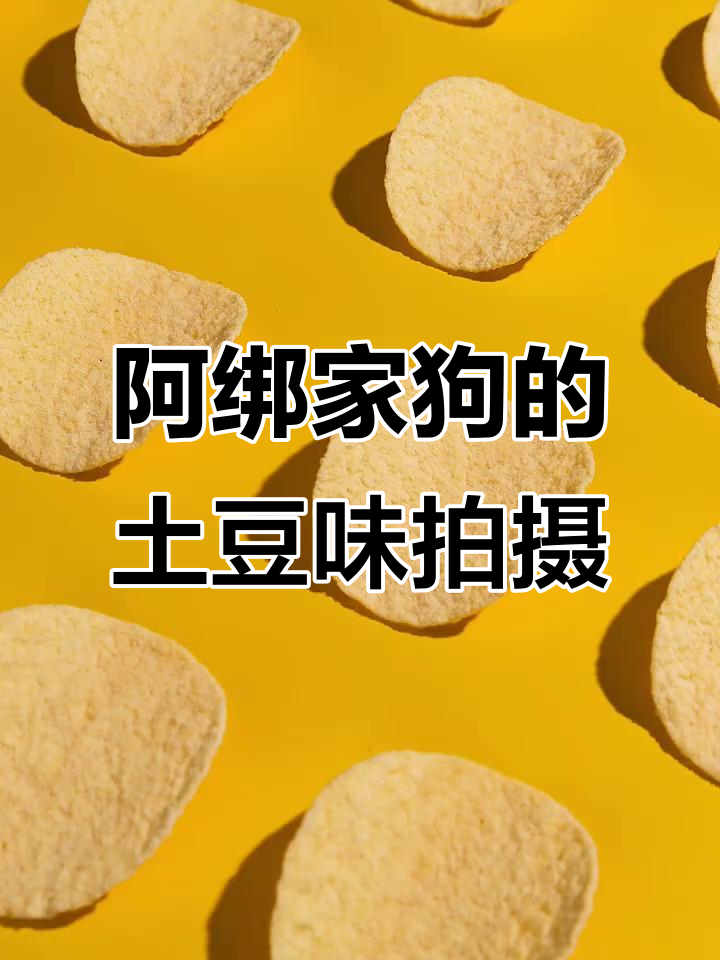 拍薯片也能这么有趣,看阿绑家狗如何演绎!