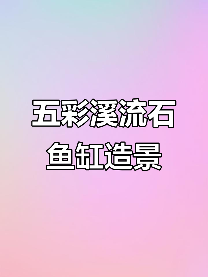 鱼缸底砂选五彩溪流石,打造生态美观水景