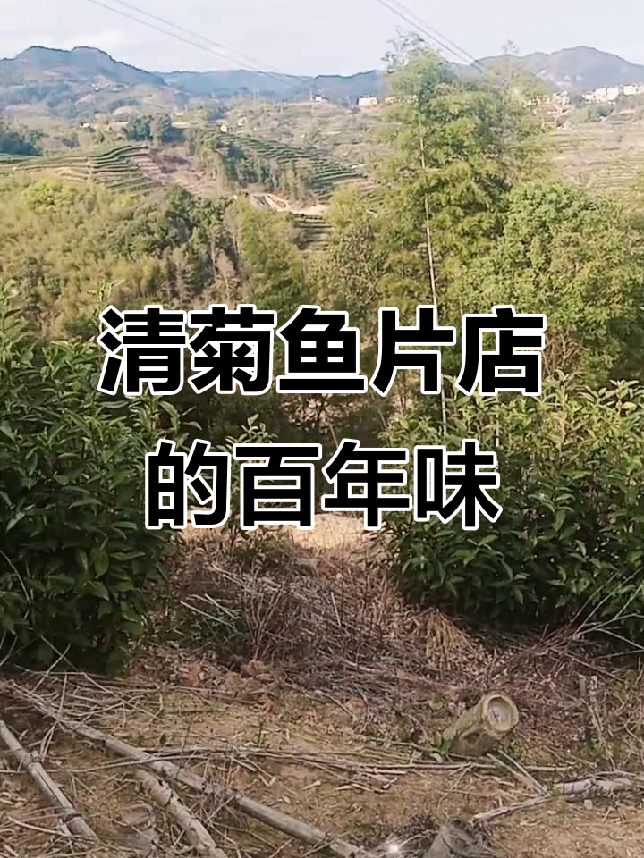 福鼎点头老街的清菊鱼片店,传承与味道的故事