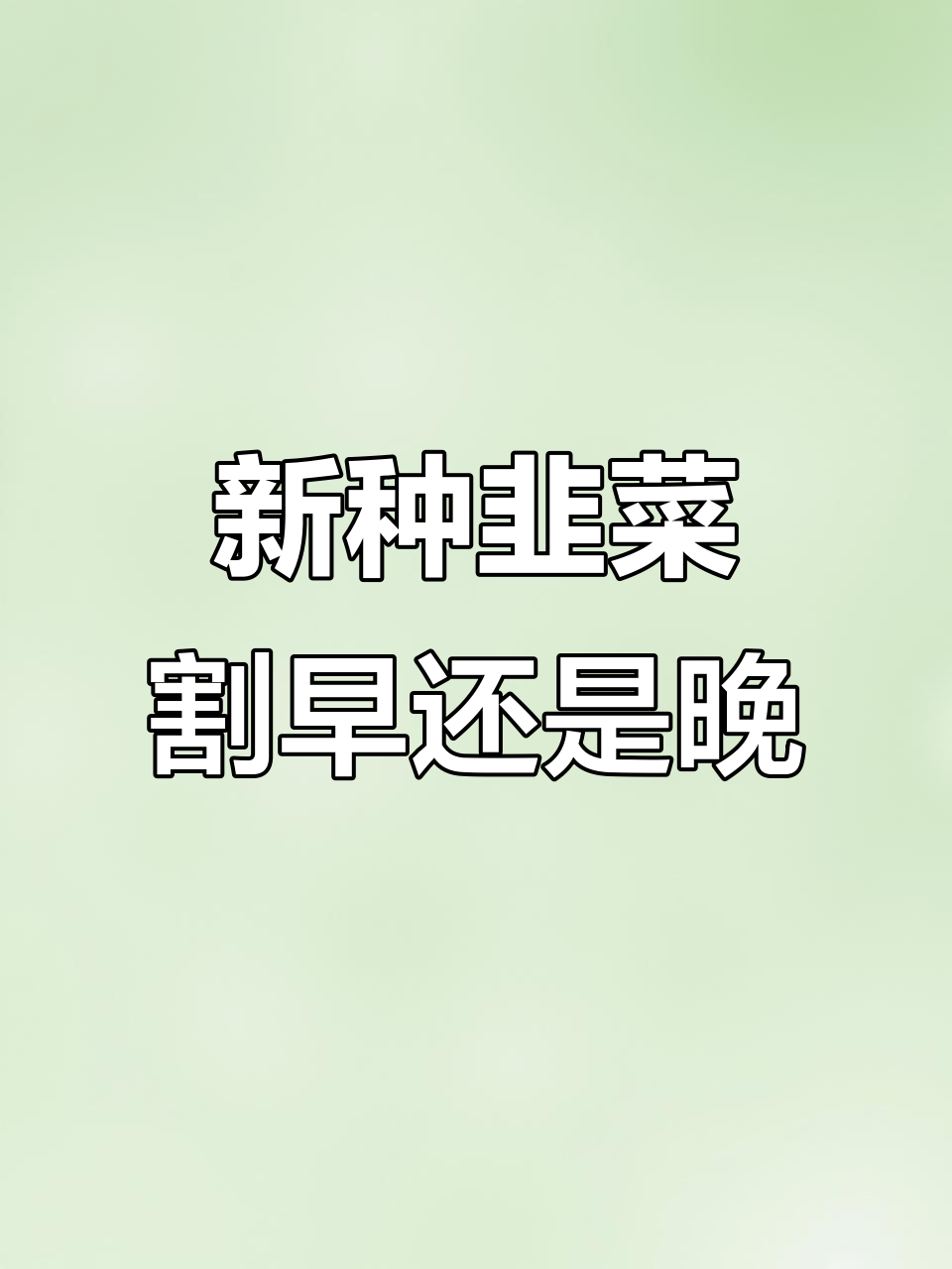 韭菜种植技巧:何时收割第一茬最合适?