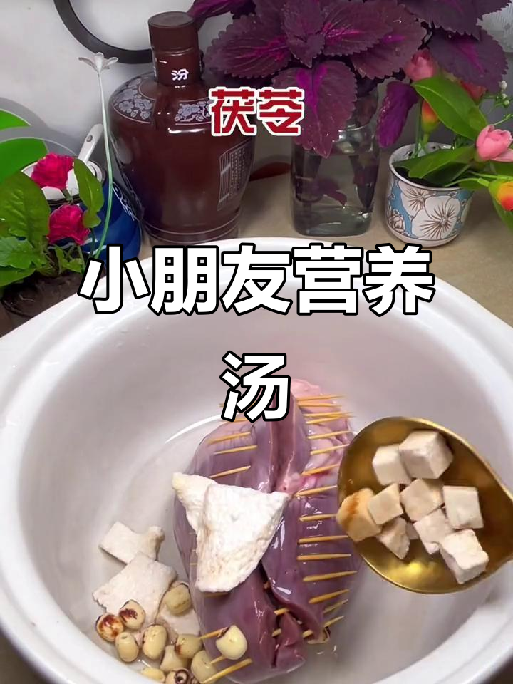 儿童食疗汤谱，太子参炖猪心，滋补又美味