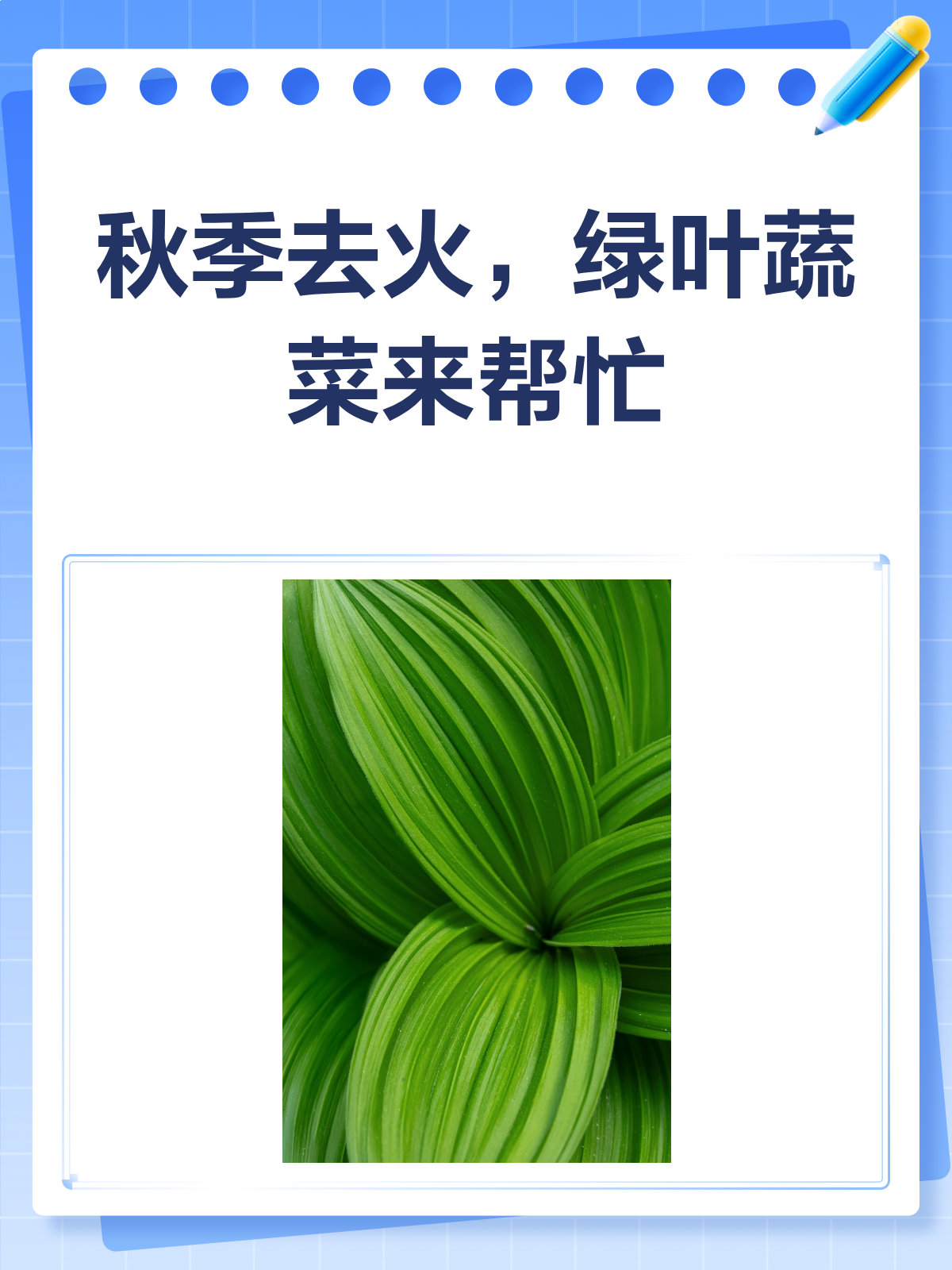 秋季上火不用怕!这些绿叶蔬菜来帮忙