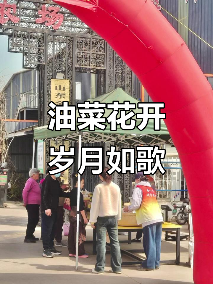 时光流转,记忆与梦想在油菜花海中重温