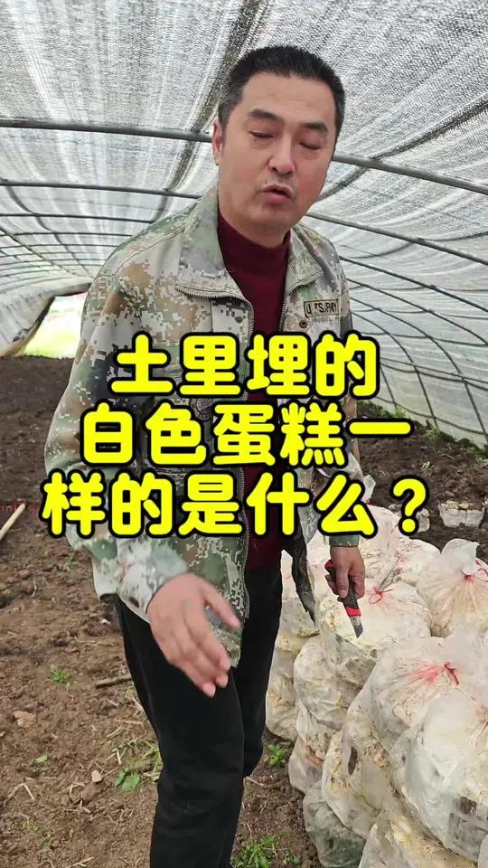 白色蛋糕土里埋?这是什么操作