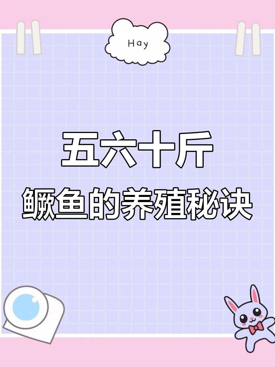 鳜鱼养殖技巧：从小池塘到大型网箱，如何高效养五六十斤大鳜