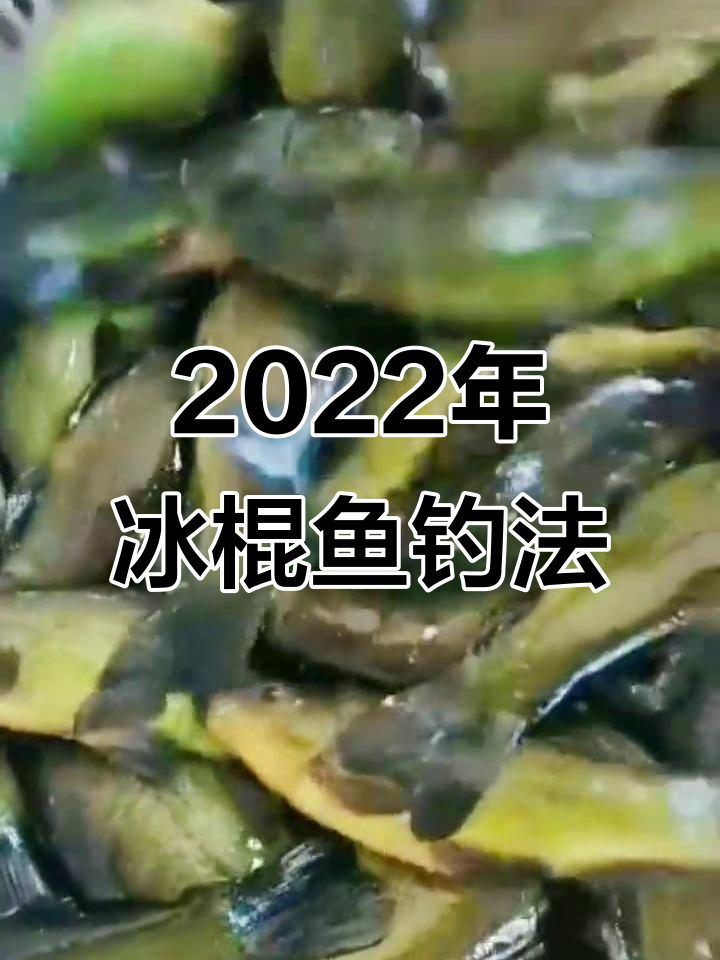 欧洲冷水系冰棍鱼钓法揭秘,轻松掌握钓鱼技巧