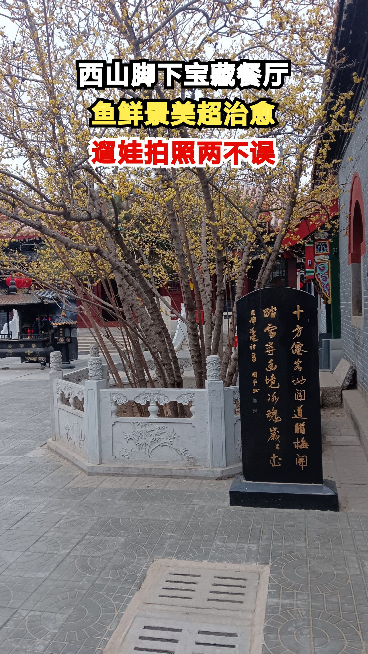 石家庄鹿泉西山藏着一家神仙鱼火锅店,鱼片薄如云朵汤底暖身,你尝过吗?