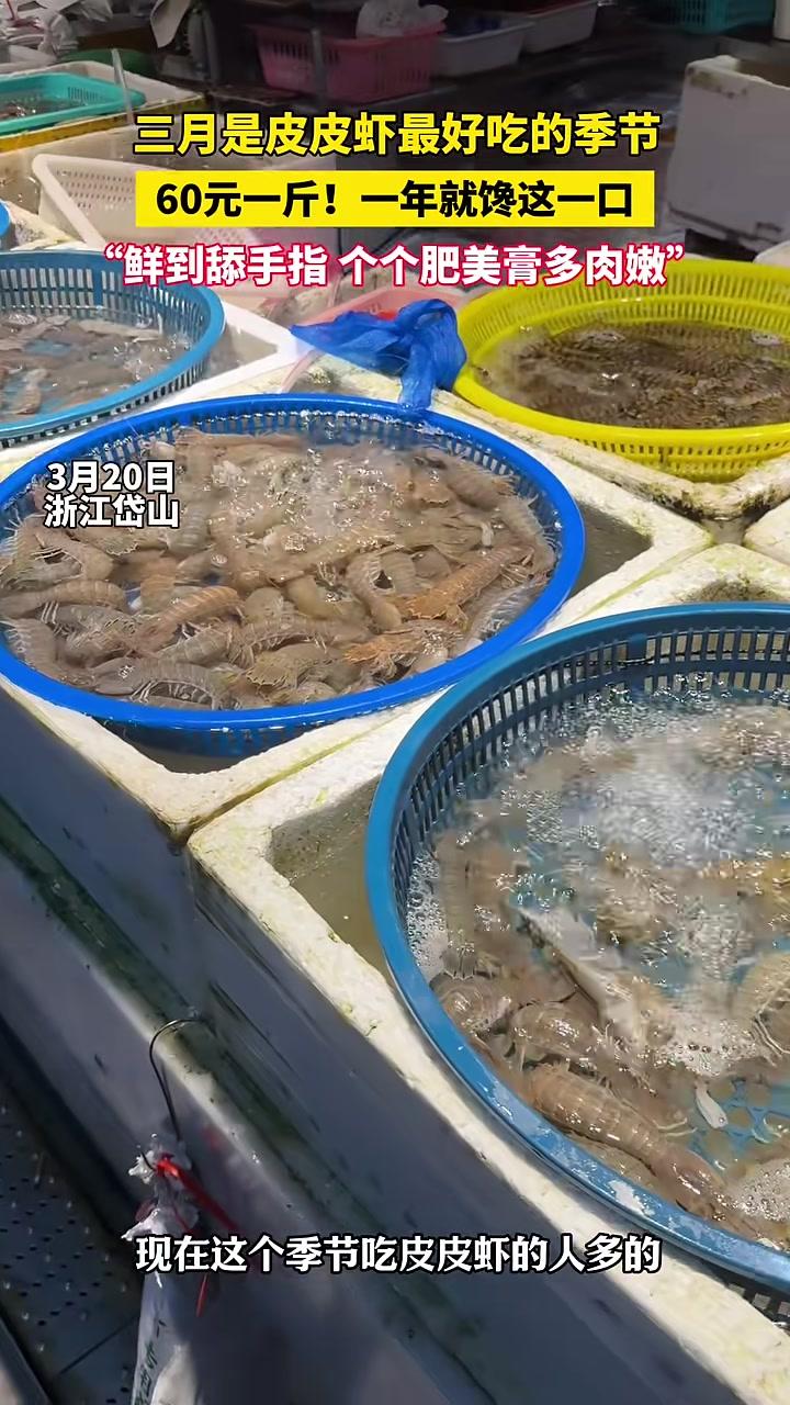 三月是皮皮虾最好吃的季节,60元一斤!一年就馋这一口,“鲜到舔手指个个肥美膏多肉嫩”