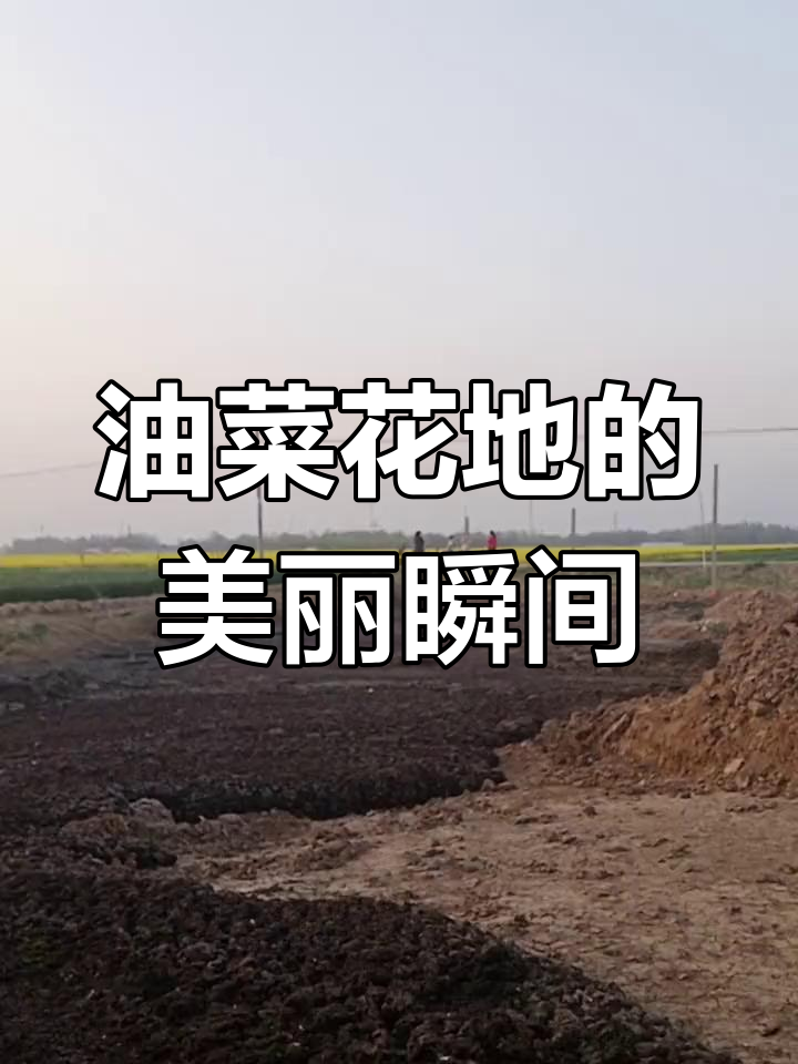 油菜花地美景,美女们纷纷驻足拍照