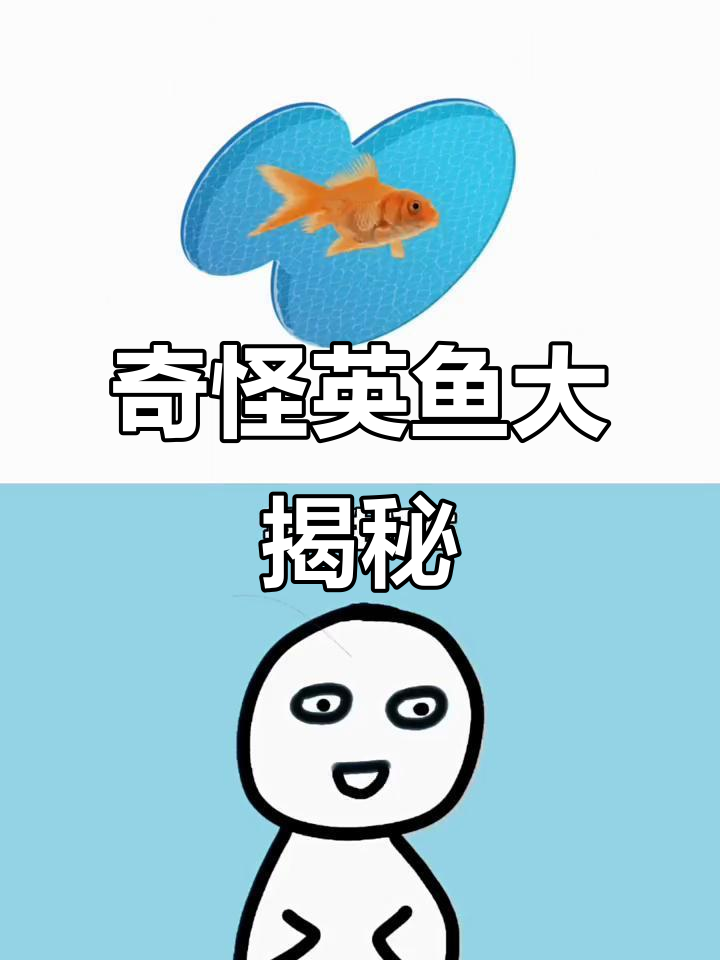 英鱼的世界：从奇怪的刺到烤鱼的奇妙旅程