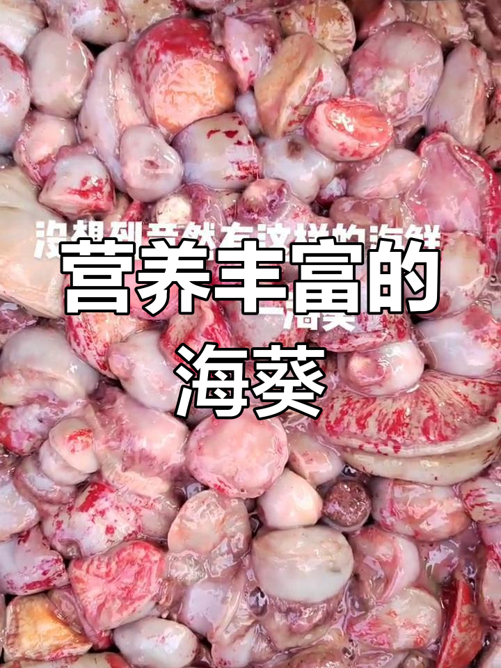 海葵的营养价值与多种做法