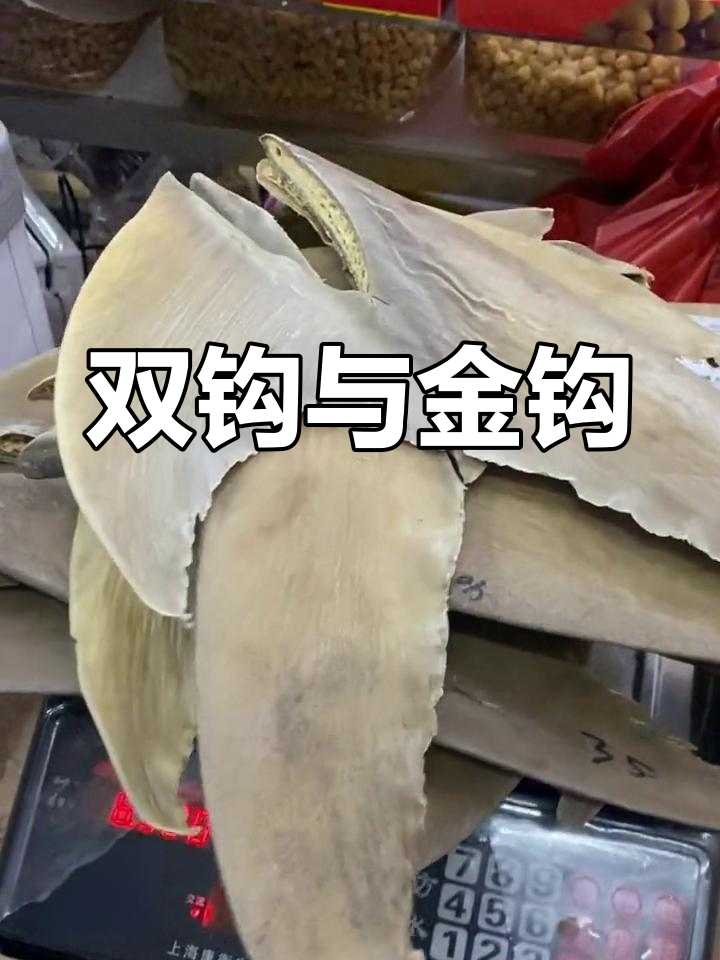 鱼翅的三种类型解析