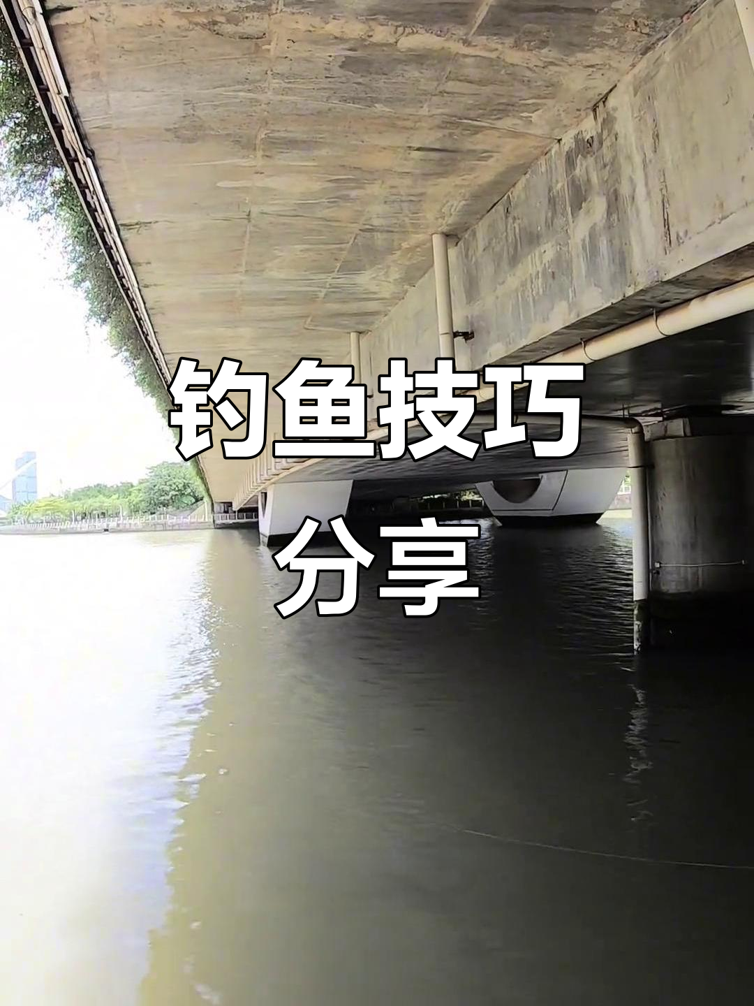 小黄脚腊鱼钓法大揭秘,兄弟们快来看!
