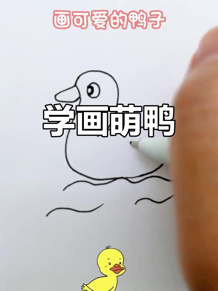 一起画可爱小鸭子,简单又有趣!
