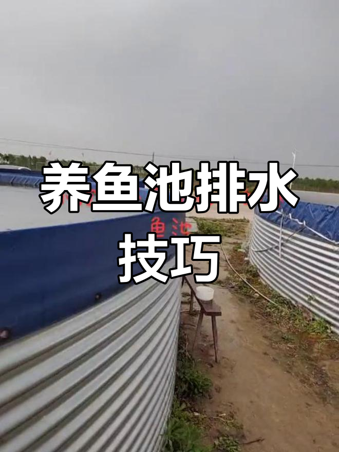 移动养鱼池排水设计揭秘,下雨如何应对?