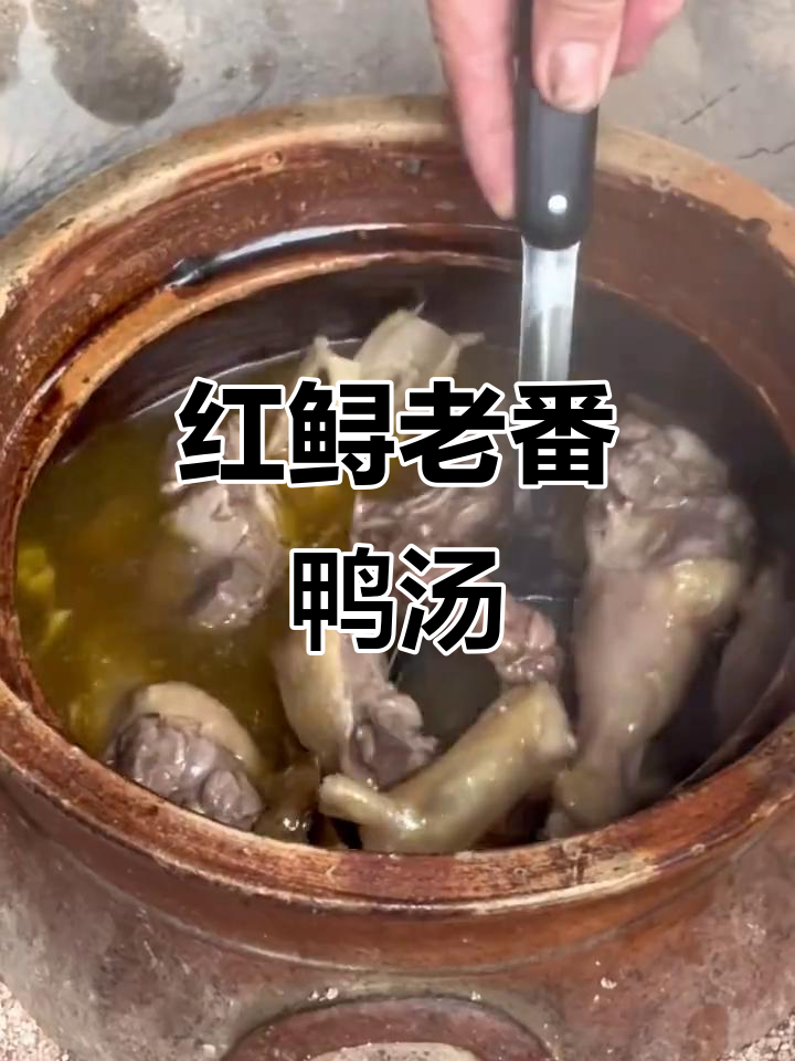 这碗红鲟老番鸭汤,喝上一口就停不下来!