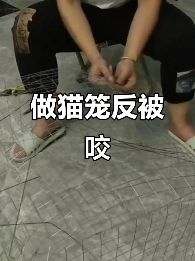 妈妈亲手做猫笼,结果被猫咪“教训”了!
