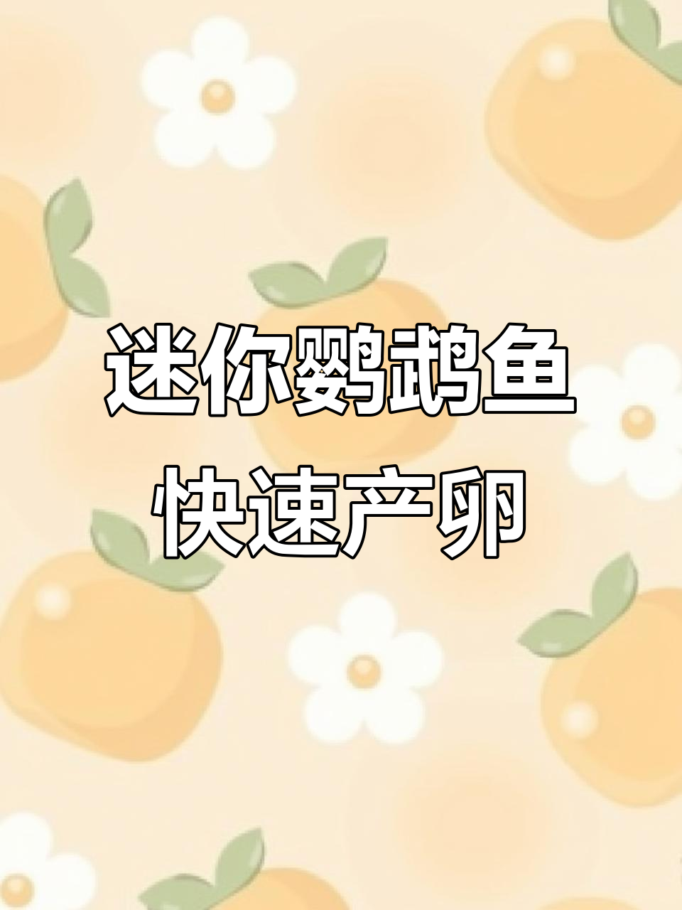 迷你鹦鹉鱼产卵全过程，半小时内三百个蛋！