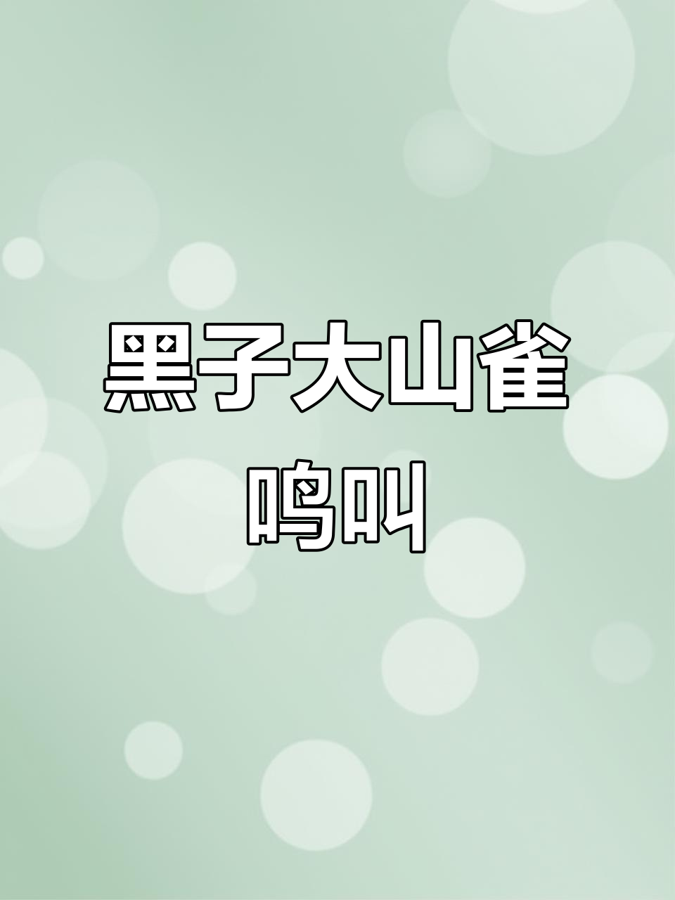 大山雀,黑子来袭!你听过它的叫声吗?