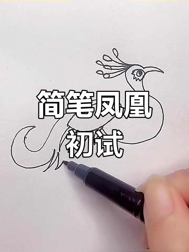 小丑人猜谜,凤凰简笔画首作!