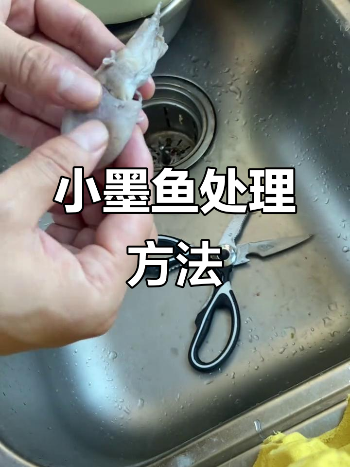 墨鱼仔处理技巧大揭秘，轻松去内脏和牙齿