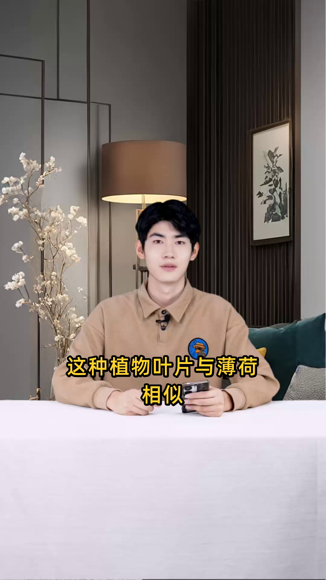 有一种菜,它的叶子和薄荷非常相似,请问这种菜是什么?